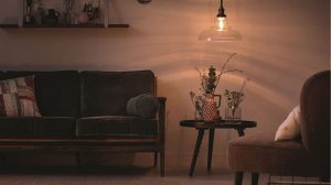 „Philips lighting“ privatumas